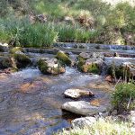 Granada hoy - Jornada Técnica "La gestión del conocimiento del agua"