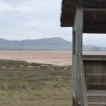 El Diario - Cosechas perdidas, agua al límite de lo potable y una laguna sin flamencos: la sequía ya golpea Málaga